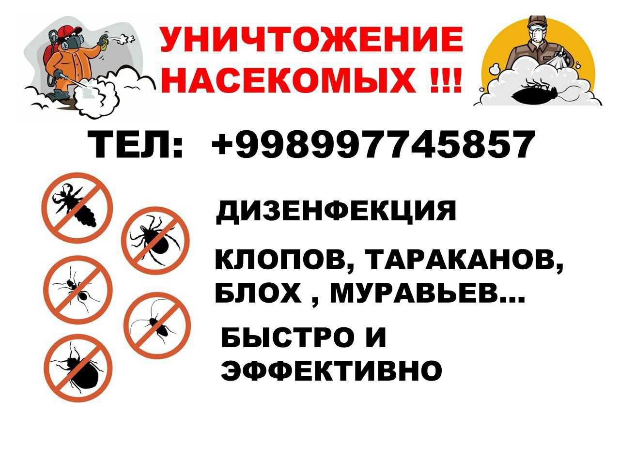Дезинфекция дезенфекция дизенфекция dezenfeksiya dizinfeksiya dezinfek