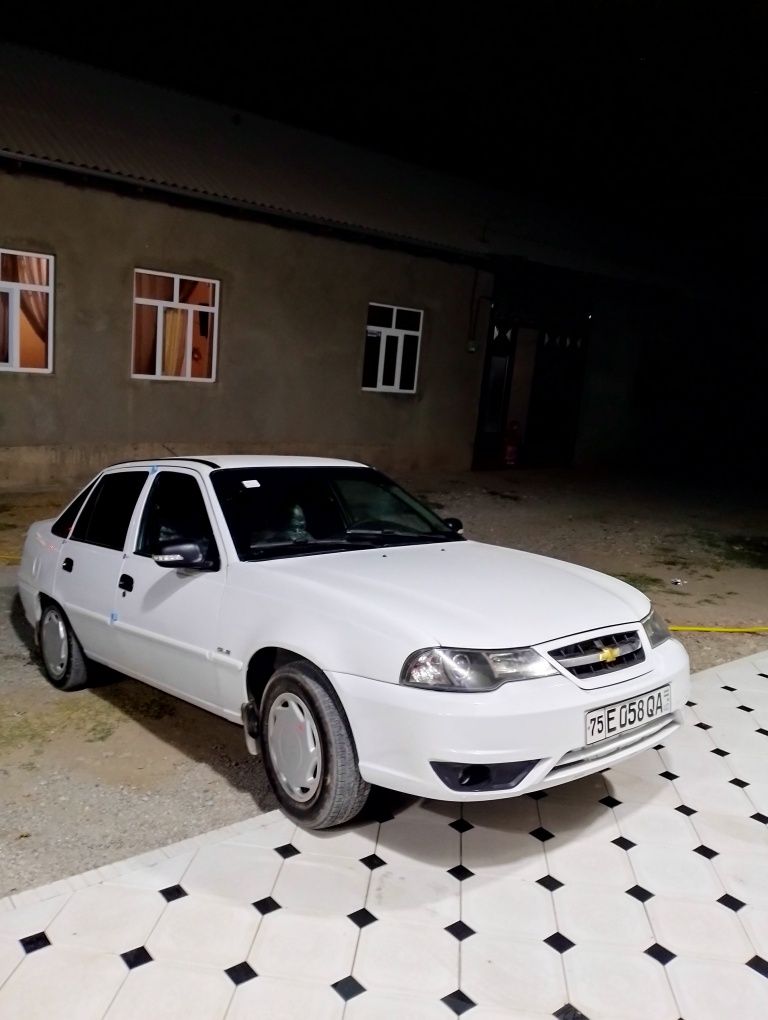 йанги дай турибти