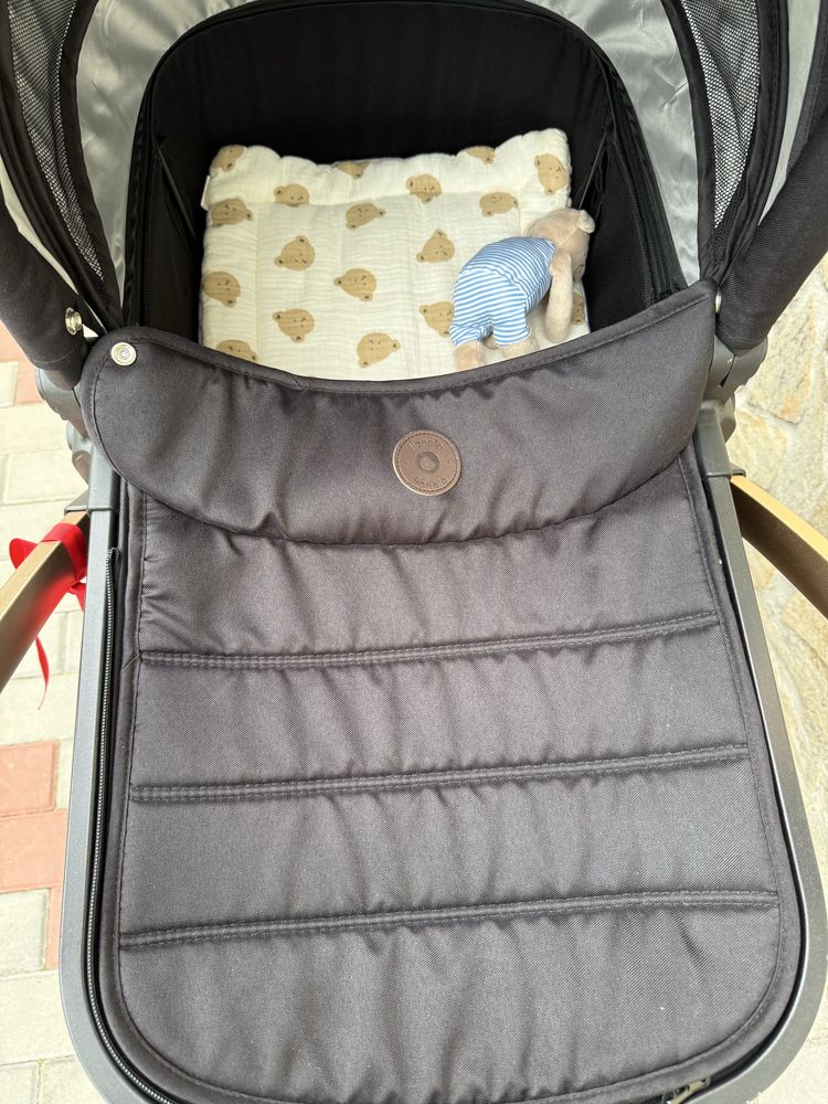 Carut 2 in 1 Lionelo Amber