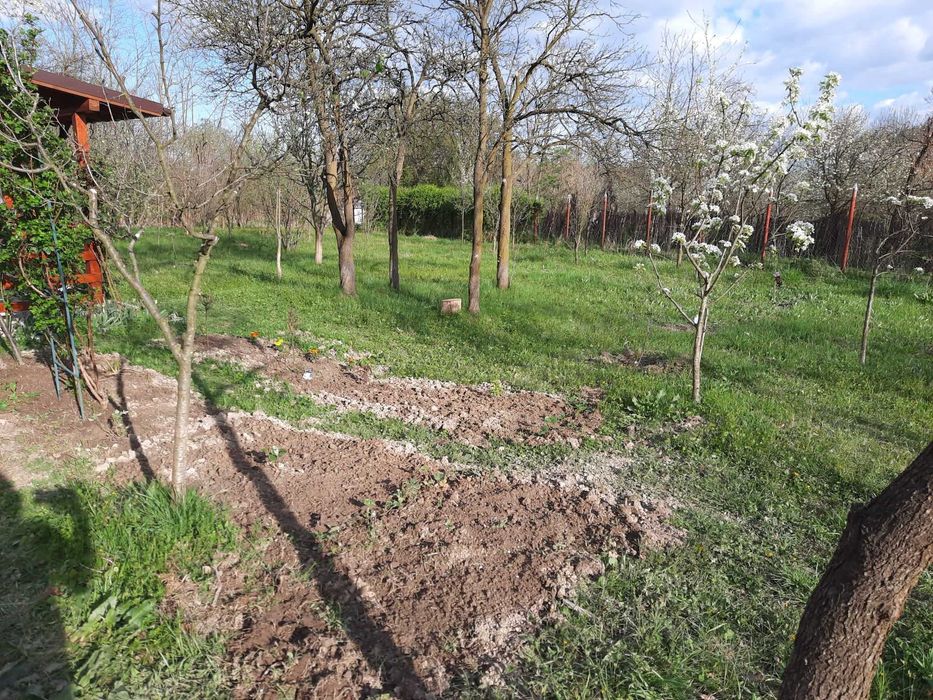 Vand 2500 mp teren intravilan cu cabanuta locuibila Prahova, utilitati