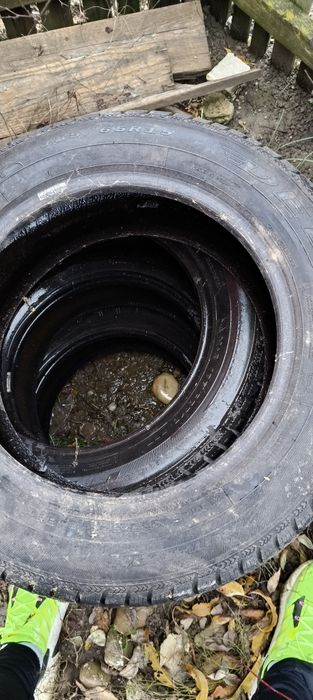 Jante de tabla R15" si anvelope Iarna