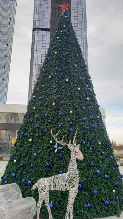 Президентские ёлки от 5 метров да 40 метров