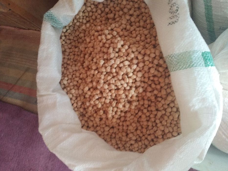 Noʻxat eng yaxshisi