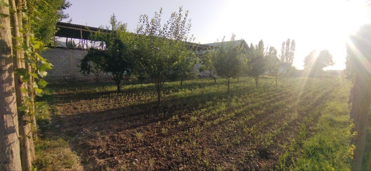 Andijon viloyati Xo'jabot tumani Faqir qishlog'ida 8 sotik yer sotilad