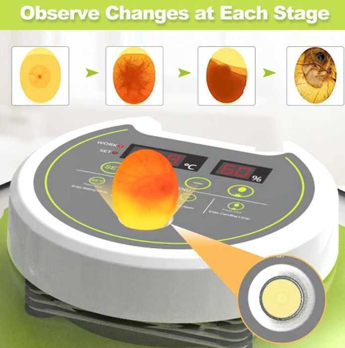 Incubator DETODDA complet automat