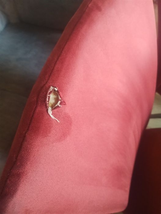 Masa bucatarie cu 8 scaune