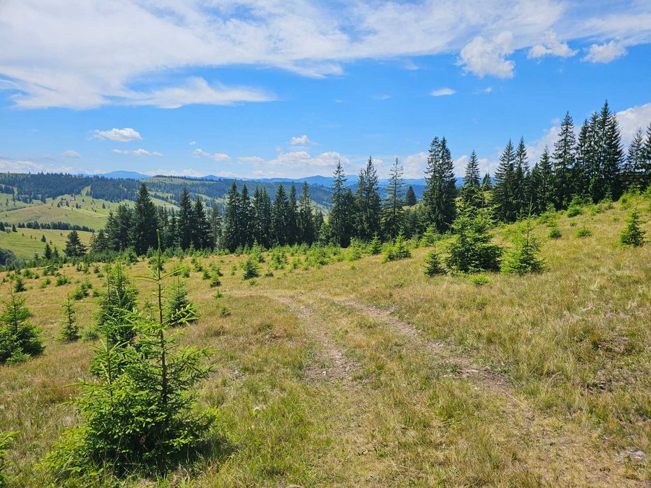 Proprietate de vanzare 92.554.mp ( 9.25 ha) in Bucovina zona Breaza