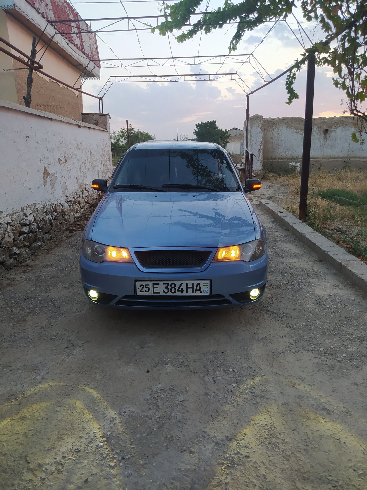 Nexia 2 delfin rang