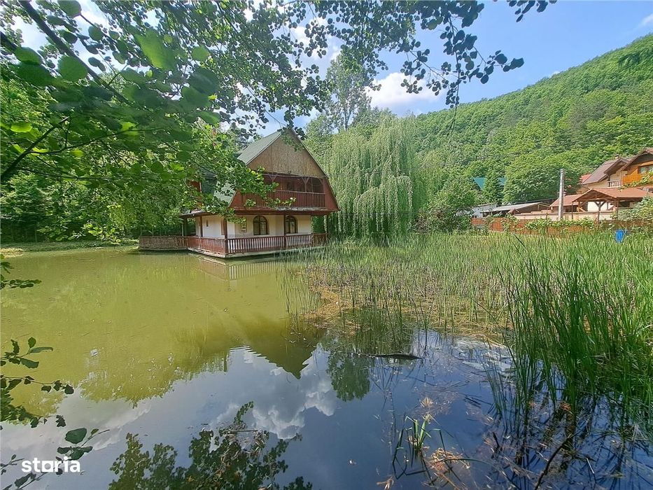 Cabana pe apa in Padurea Neagra