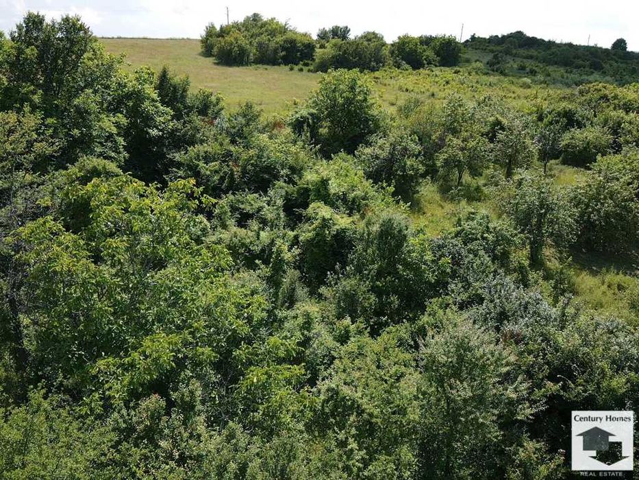 Продава се Парцел в с. Присово, Област Велико Търново - 1600 кв.м за 25 €/кв.м - Снимка #3