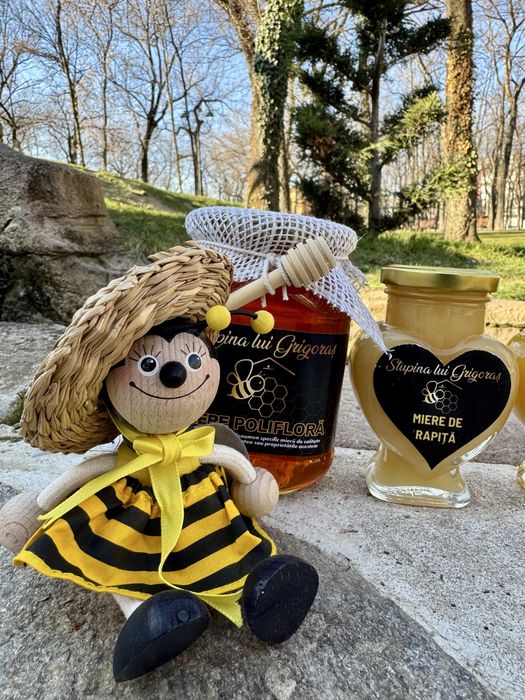 Miere, propolis - Certificat BIO!!! Matci, familii de albine, roiuri!