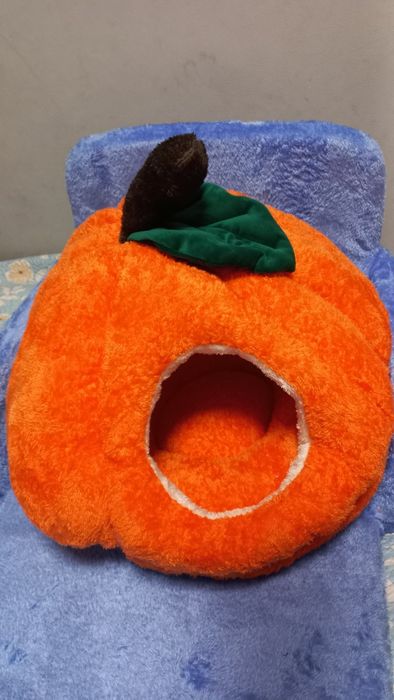 Асал уйчаларимиз сотувда 130 000 ва 150 000 сум