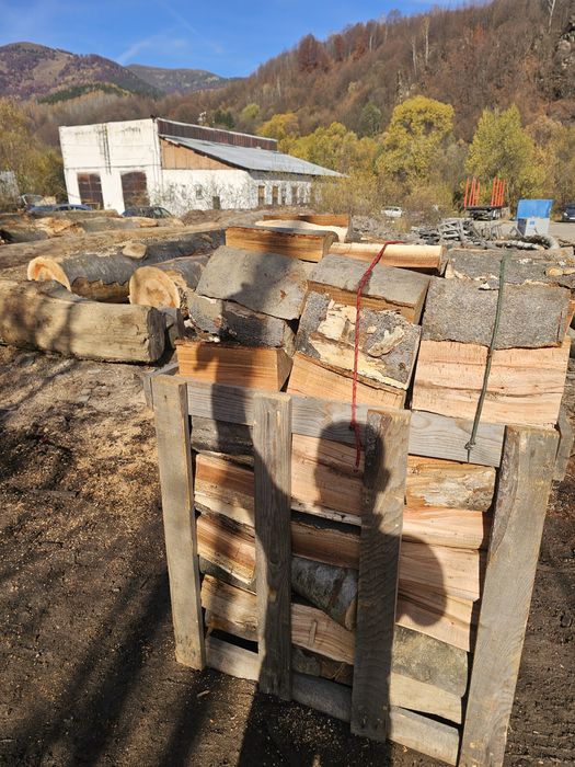 Lemn de foc! Esenta fag!