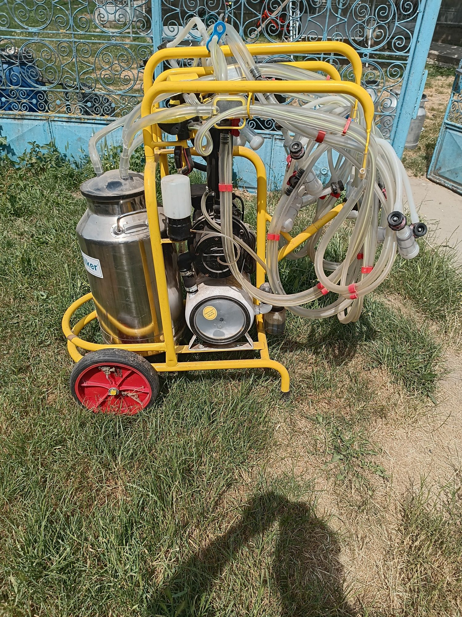 Milker aparat de muls oi și capre cu 6 posturi