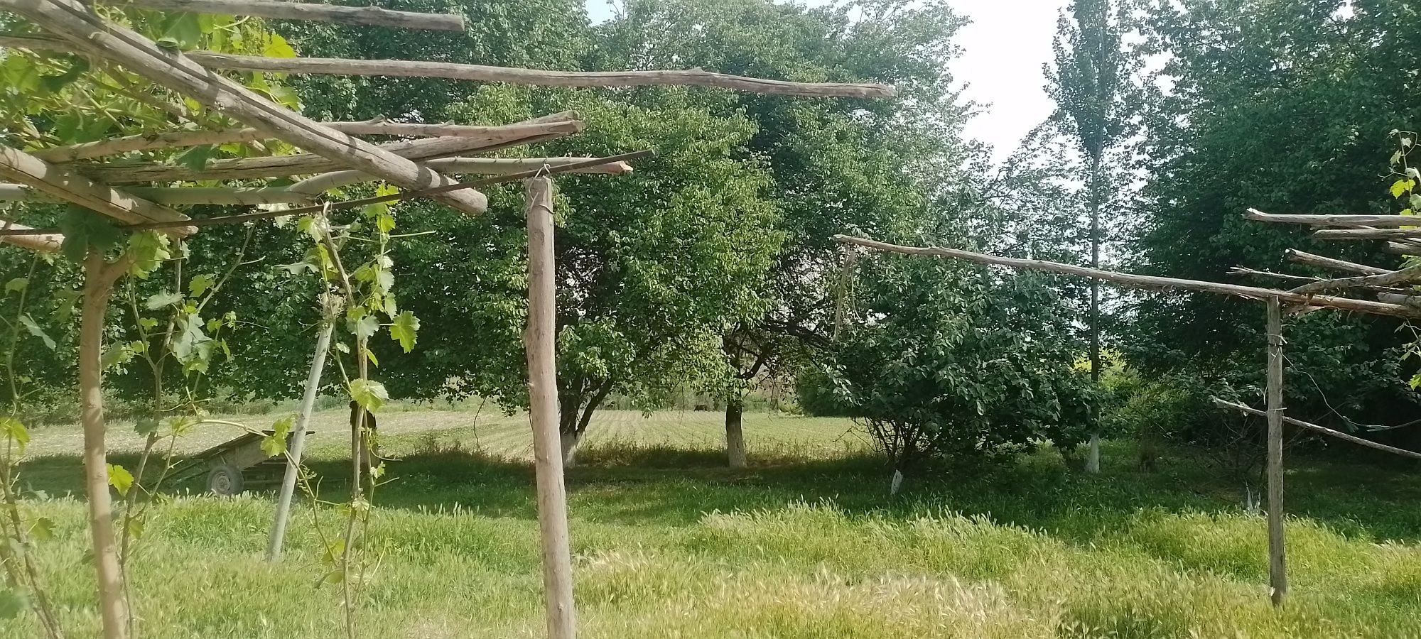 Uy satildi tezda