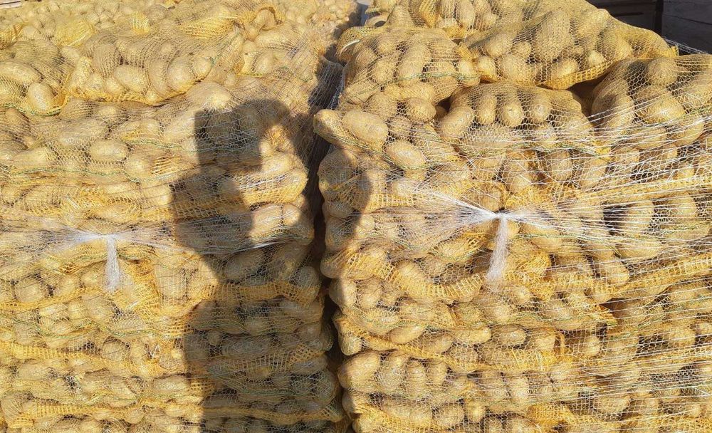 Vand cartofi consum,calibru 60+