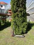 Vand trotineta oxelo