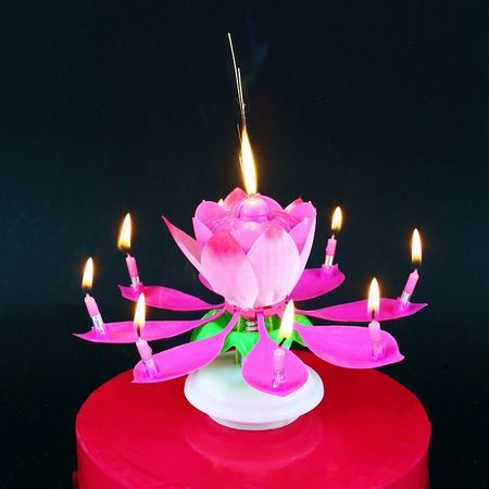 Lumanare aniversara pentru tort, Lumanari floare muzicala