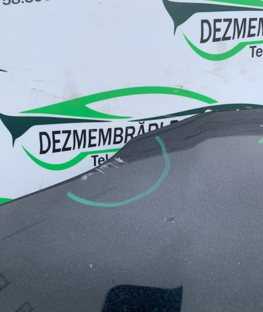 Capota motor Defecte minore Volkswagen VW Passat B5.5 (facelift)