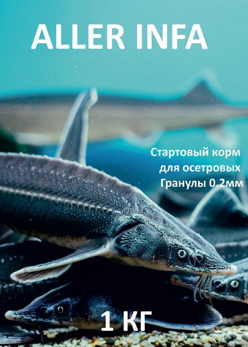 Стартовый корм для лососевых, сиговых, осетровых рыб