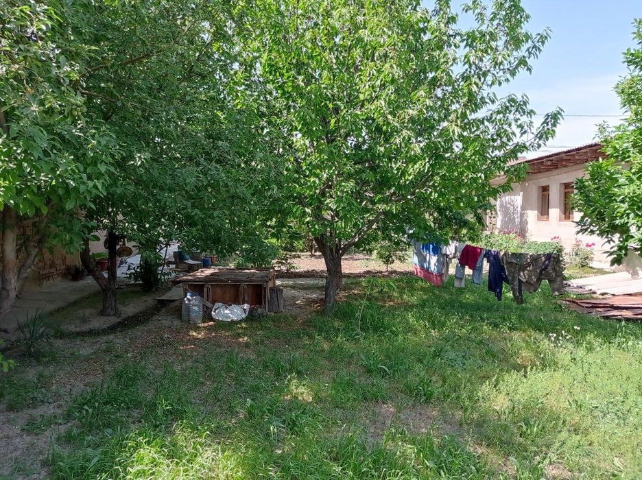 UY SOTILADI 15 sotix