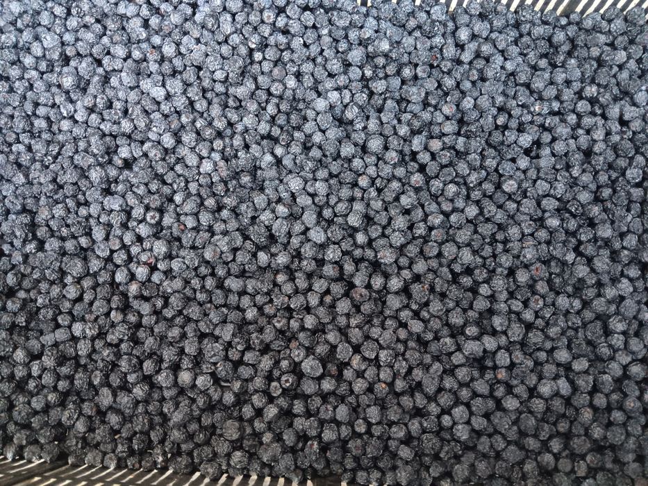 Сушена арония 2025