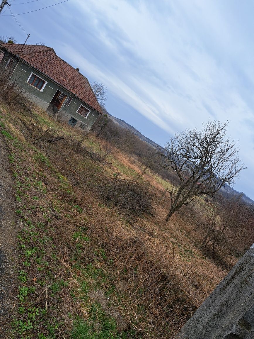 Casa și gradina 30 arii