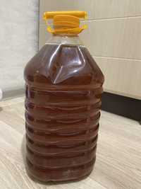 Мёд катон-карагайский