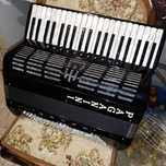 vand acordeon acordeoane pentru midi pe ax si dublu ax paganini elkavo