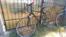 Bicicleta 28 frane hidraulice winora