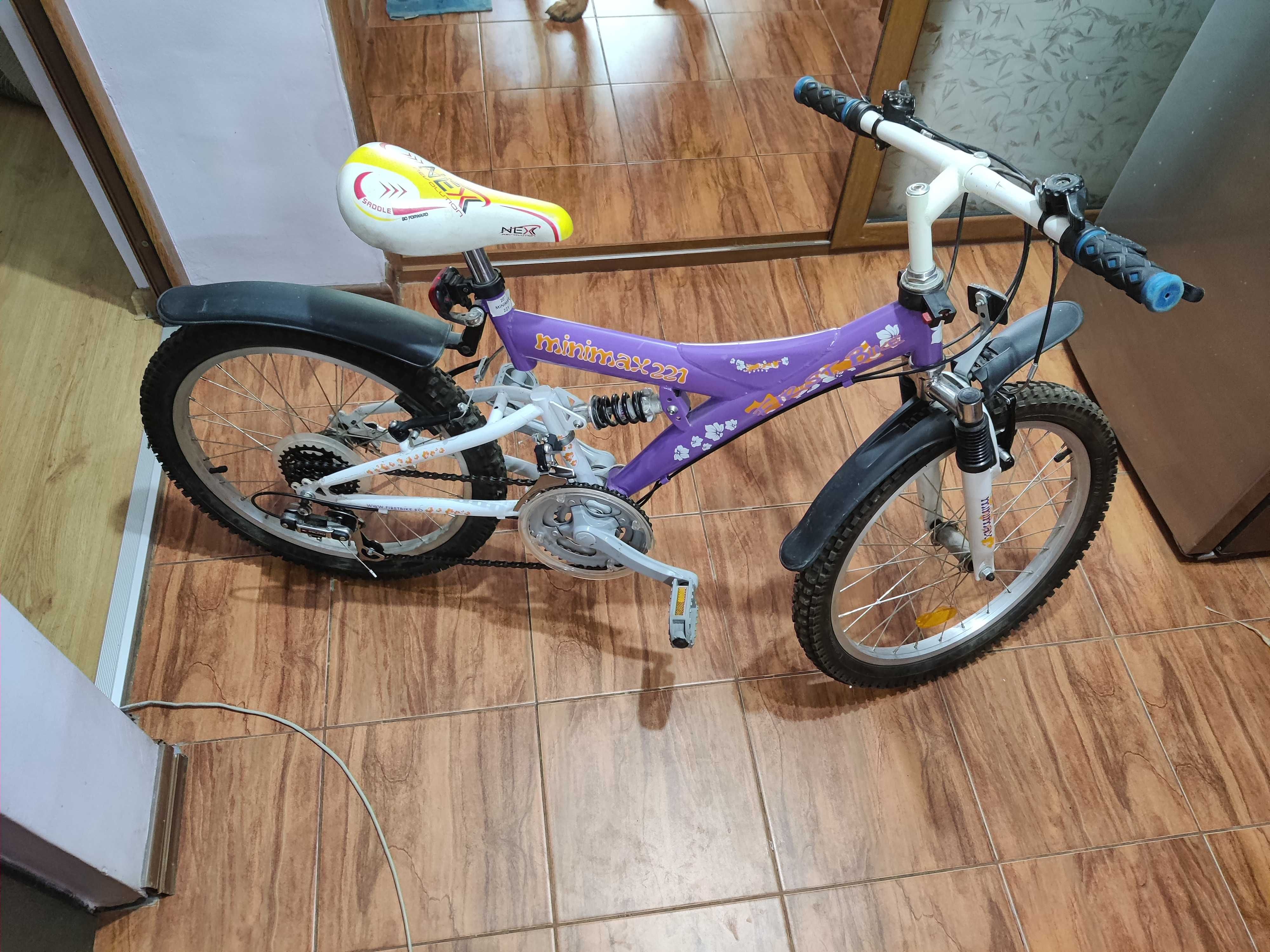 Bicicleta Minimax 221