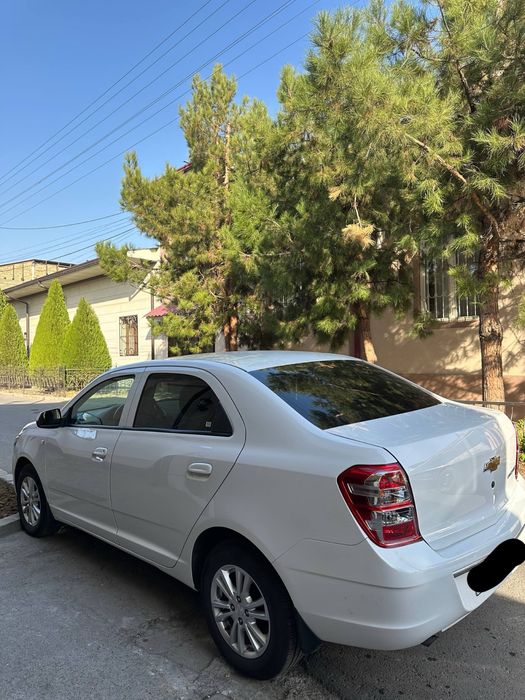 Cobalt 4 pozitsiya ful