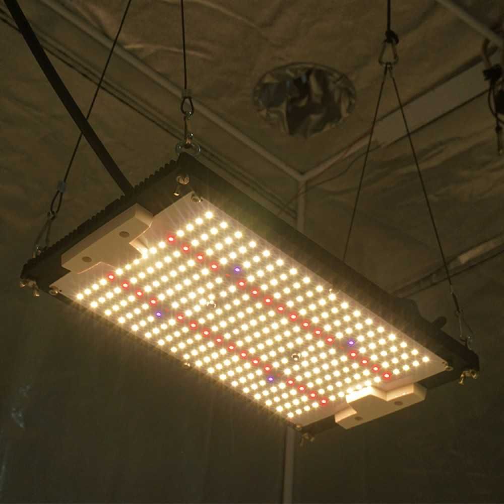 Quantum board Led