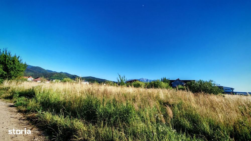 Teren intravilan 1000 mp pt construcții case Cristian str Nisipului