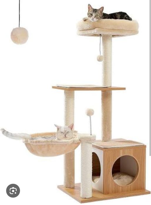 Mushuk uychasi xarxil turdagi kota va kichik uychalar