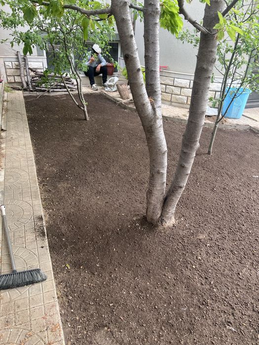 Archa kesish gazon orish gazon ekish fantanchik qilish gullar ekish