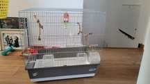 Vand colivie papagali IMAC Irene 4
