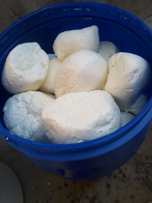 Vând  brânză de capră 100% bio. Preț 40kg