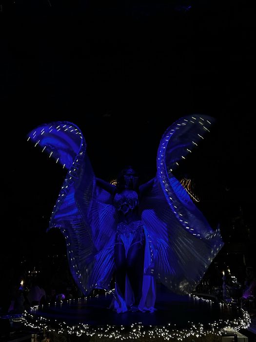 Dansatoare bellydance/ oriental