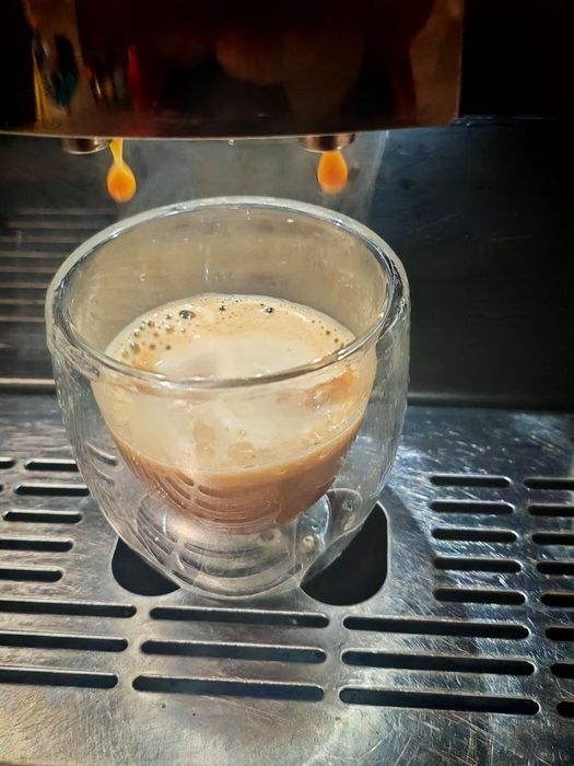Melitta caffeo Ci