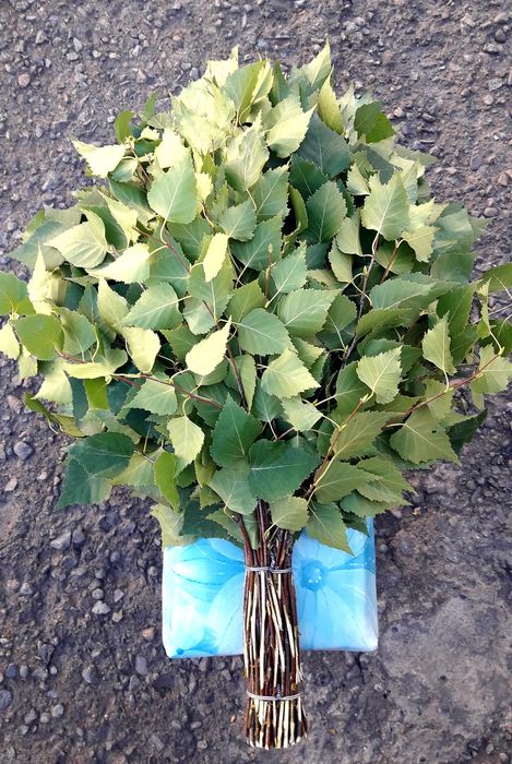 Берёзовые веники для бани.