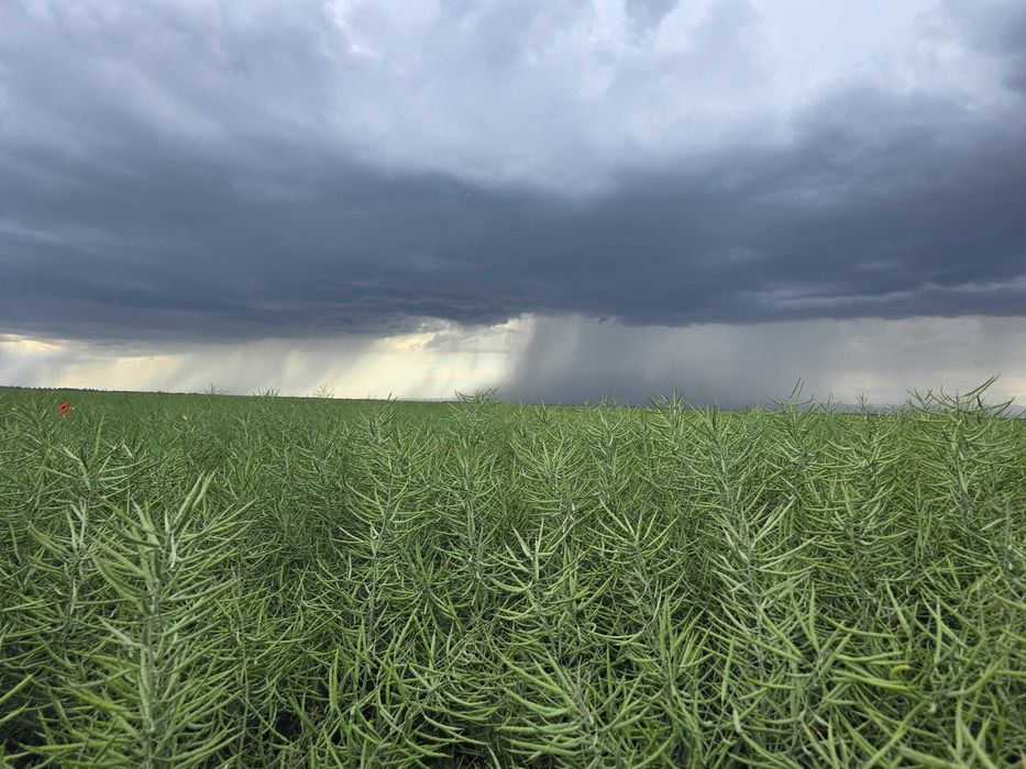 Vând fermă agricola