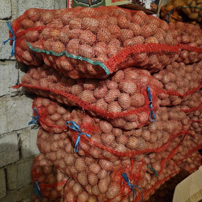 Cartofi samanta bellarosa, ultra