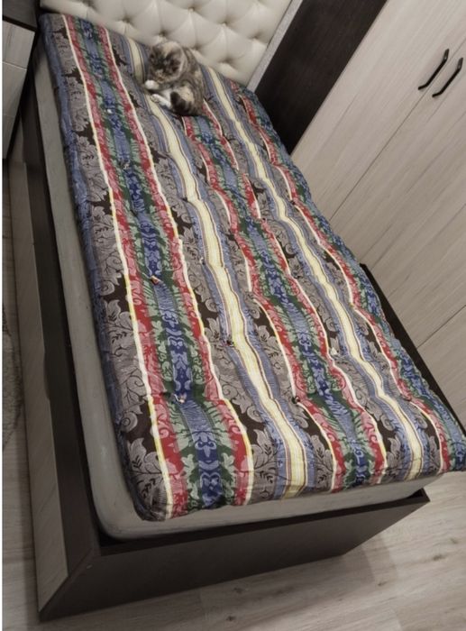 Корпеше новый жана