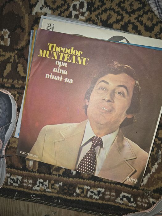 Discuri  de vinil