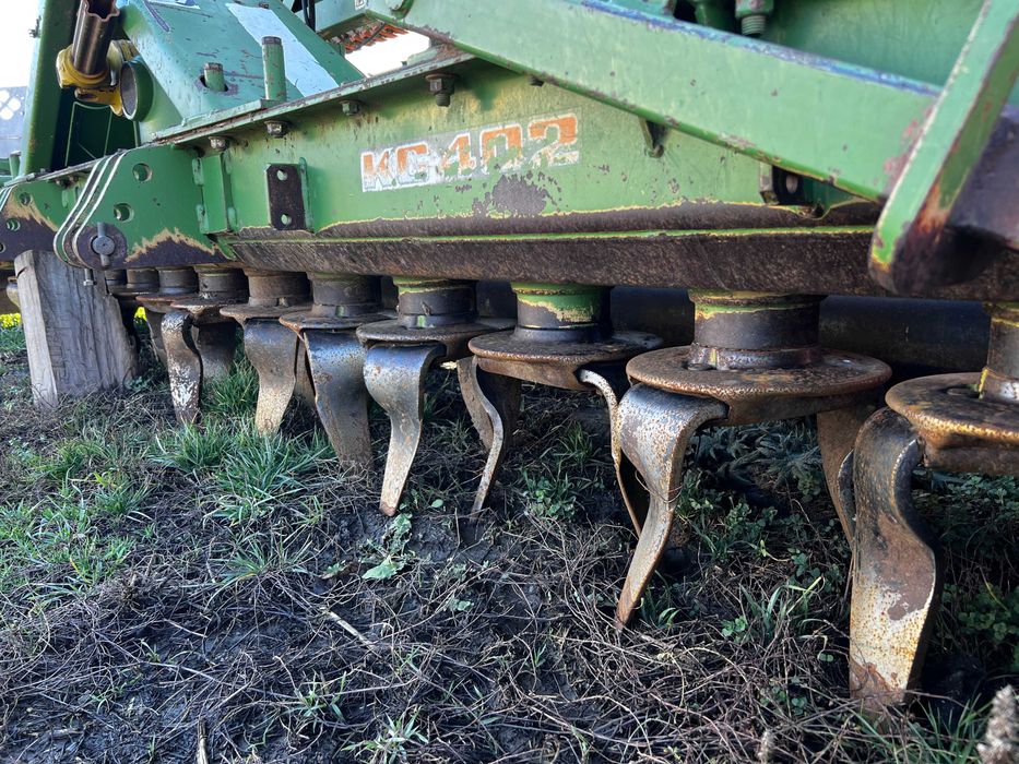 Semanatoare Amazone paioase- AD402 pe discuri