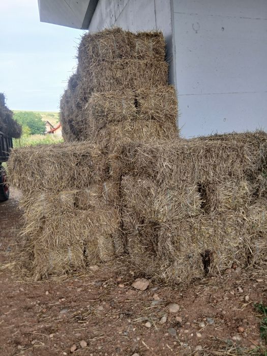 Baloti de paie, producție 2025