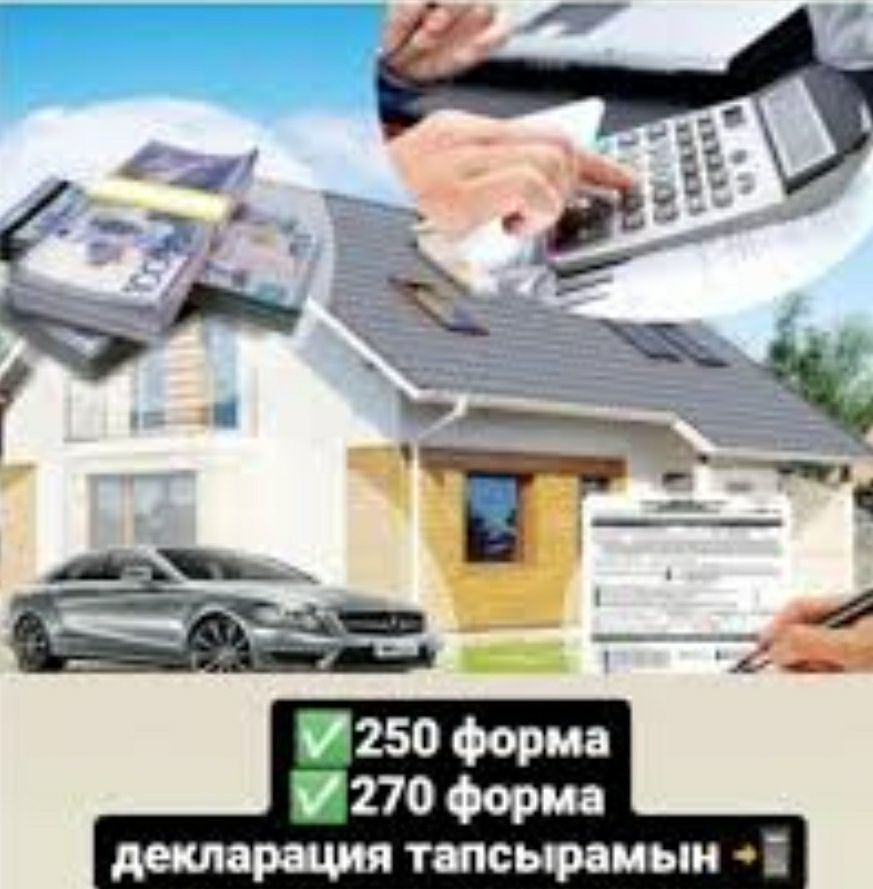 Декларация 250, 270