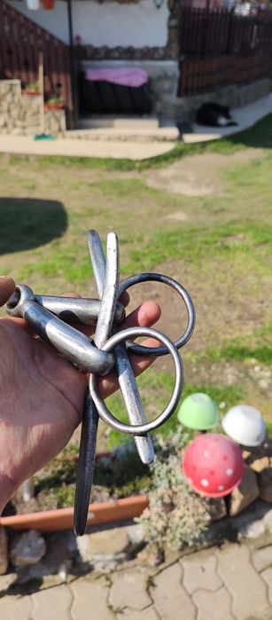 Zăbala cal, echitație