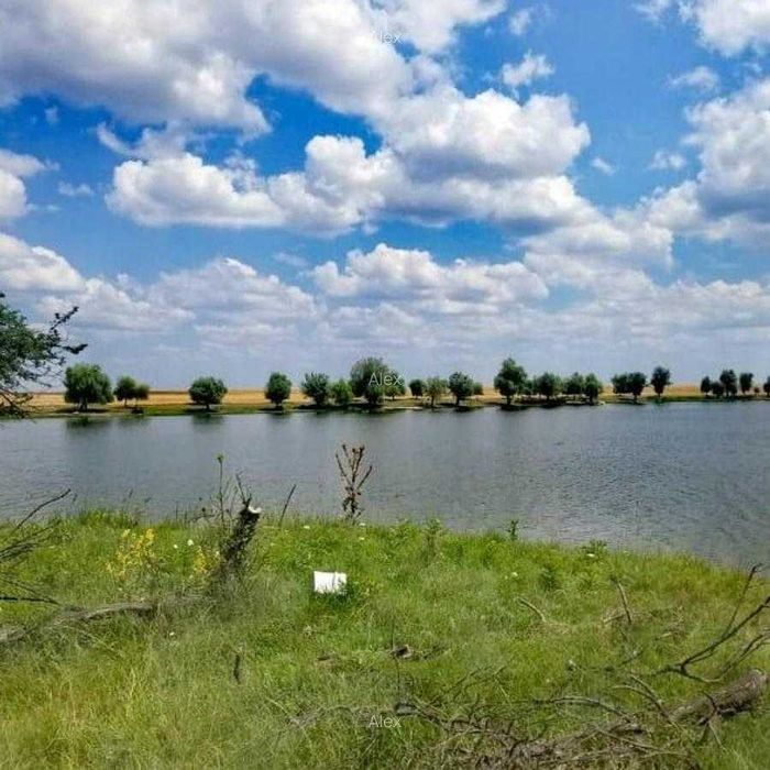 Teren Deschidere la lac 3560mp Com. Berceni Dobreni Vidra